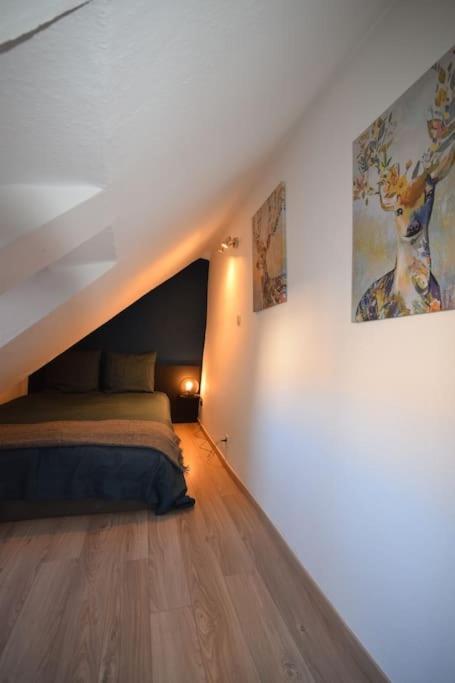 Le Studio Du Quai Des Pecheurs - Charmant Duplex Sur Les Quais Estrasburgo Exterior foto